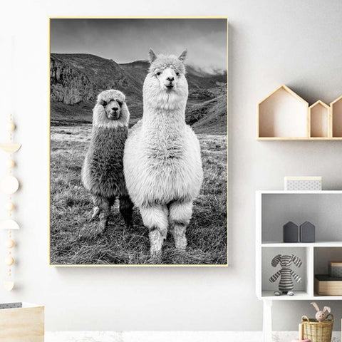 Tableau Alpaga - Noir et blanc