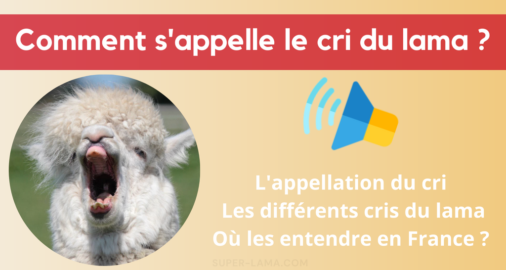 Quel est le cri du lama ?