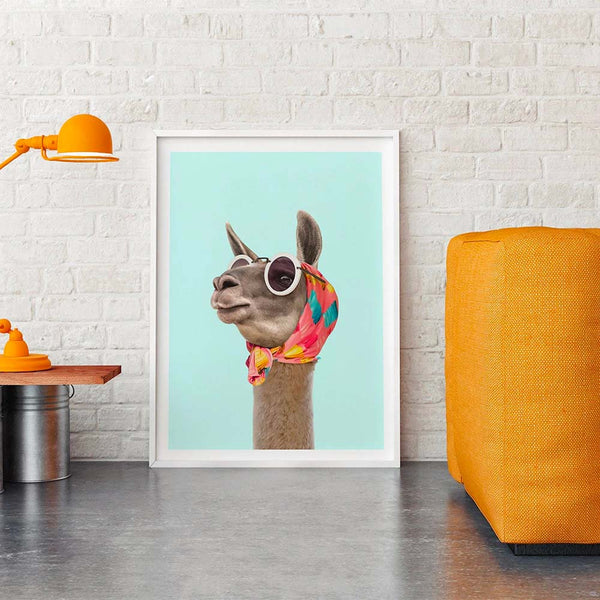 Tableau Lama - Foulard & lunettes