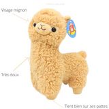 Peluche lama - Paco